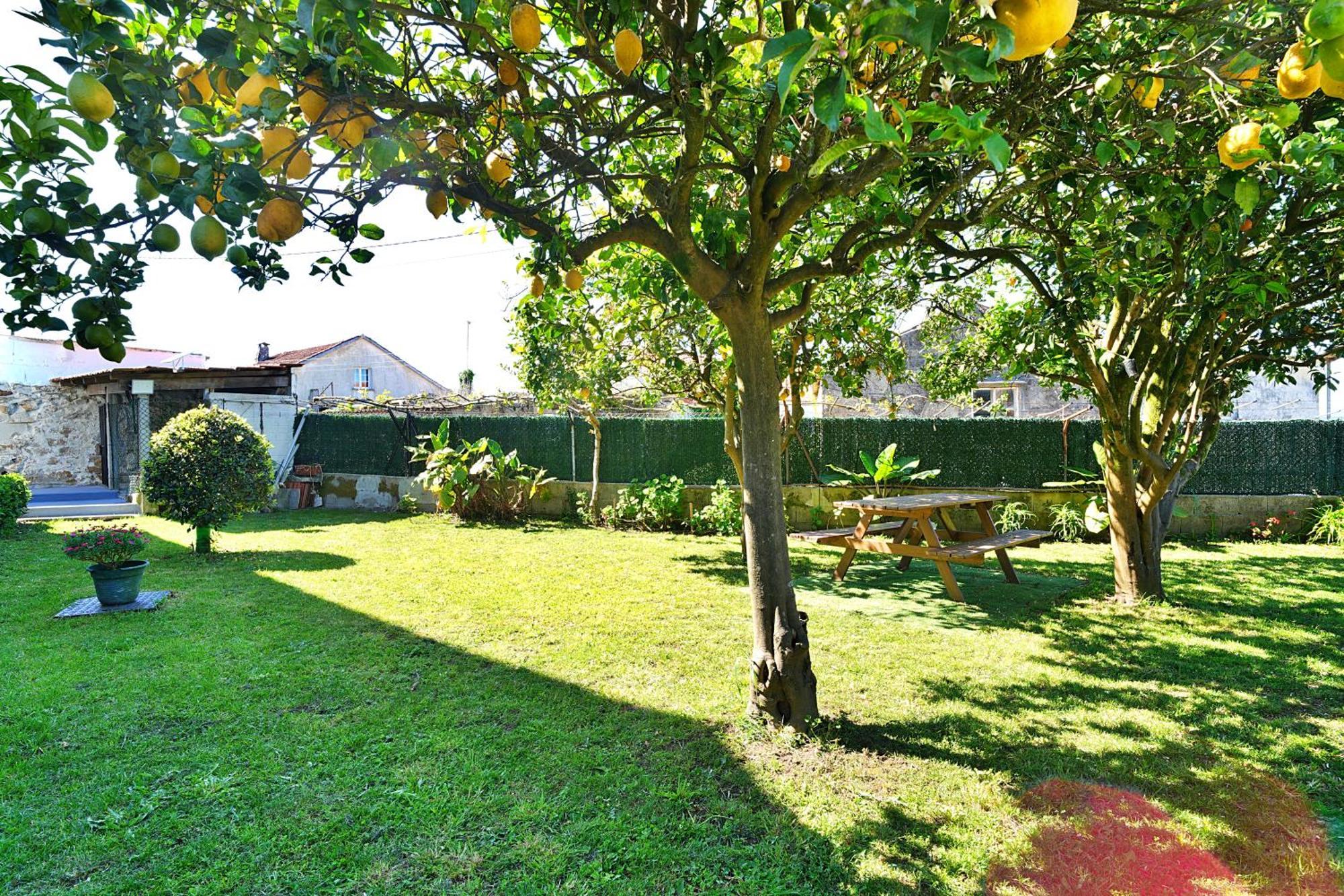 Casa Con Jardin En Vilanova De Arousa Pontevedra Bagian luar foto